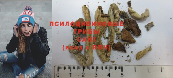 ПСИЛОЦИБИНОВЫЕ ГРИБЫ Богородск