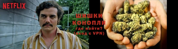 кокаин Белокуриха