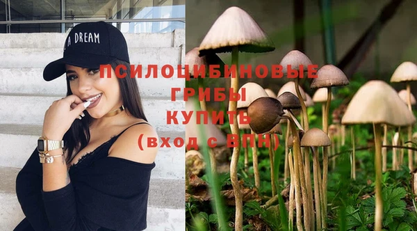 apvp Белоозёрский