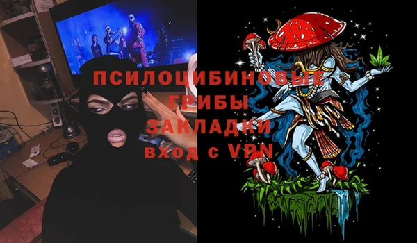 ПСИЛОЦИБИНОВЫЕ ГРИБЫ Богородск