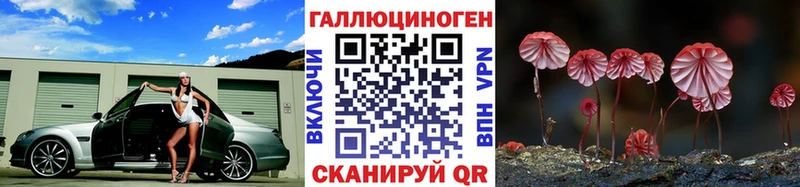 Галлюциногенные грибы GOLDEN TEACHER где купить наркоту Володарск